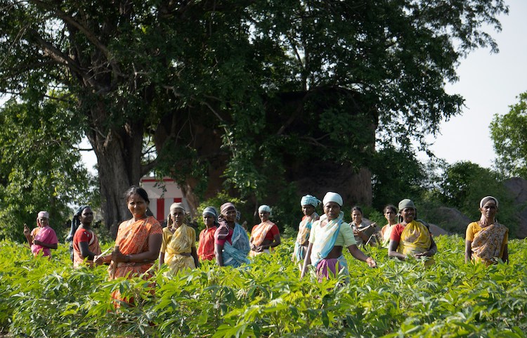 Organic Farming Workshop